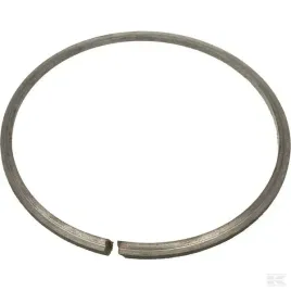 pierscien-uszczelniajacy-zespolu-pasowego-wariatora-pasuje-do-bizon-302