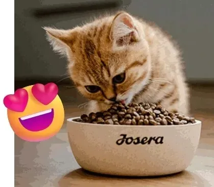 josera-sensicat-10kg-marka-josera