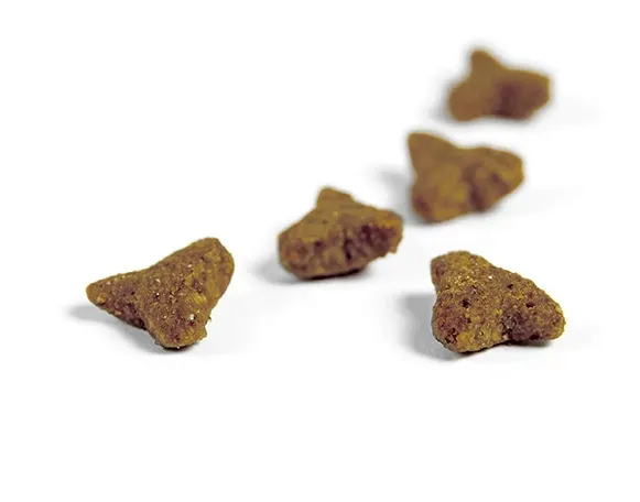 josera-sensicat-10kg-karmy-specjalne-dla-kotow-z-nadwrazliwoscia-pokarmowa