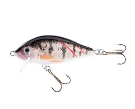 jaxon-wobler-holo-select-karas-sw-8-cm-13-g-osy