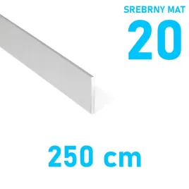 plaskownik-aluminiowy-srebrny-mat-20mm-anodowany-250cm