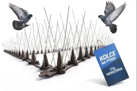 1x-szpikulce-kolce-na-ptaki-golebie-przeciw-ptakom-golebiom-nierdzewne-meg