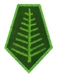 b-dystynkcje-patki-mysliwskie-zielone-bistana