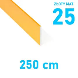 plaskownik-aluminiowy-zloty-mat-25mm-anodowany-250cm