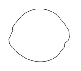 winderosa-vertex-uszczelka-pokrywy-sprzegla-honda-cr250r-cr-250-02-07