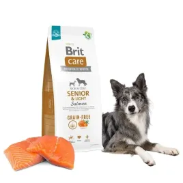 brit-care-senior-and-light-salmon-12kg