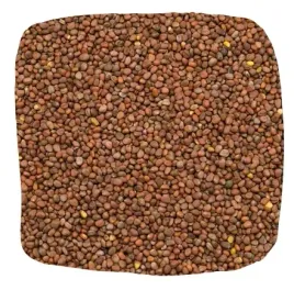 mieszanka-poplonowa-fito-1-25kg-facelia-nasiona-na-poplon-rzodkiew-gorczyca