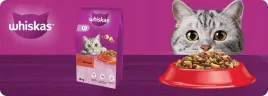 sucha-karma-whiskas-adult-z-pyszna-wolowina-14kg