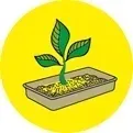 kukurydziany-zwirek-dla-kota-benek-corn-cat-classic-naturalny-35l-22kg