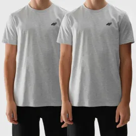 2-pak-koszulki-meskie-4f-t-shirt-regular-szary-bawelna-4fwss24ttshm1154-s