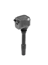 cewka-zaplonowa-beru-zs538-bmw-x4-x6-x3-z4-seria-1