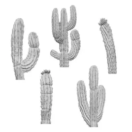 3d-printed-set-saguaro-cactus-xl-kaktusy-5-szt