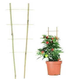 drabinka-bambusowa-podpora-do-kwiatow-roslin-45cm