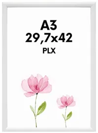 ramka-na-zdjecia-a3-297x42-biala-pleksi-uniwersalna-dyplom