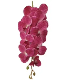 orchidea-storczyk-vanda-rozowy-106-cm-fuksja-9-kwiatow