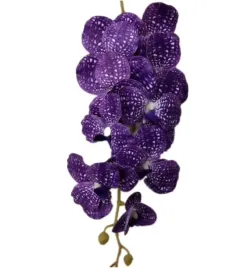orchidea-storczyk-vanda-fioletowy-106-cm-fuksja-9-kwiatow