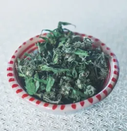 herbata-konopna-kwiat-konopi-cbg-cbd-zestaw