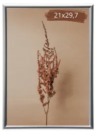 aluminiowa-ramka-na-zdjecie-21x297-a4-srebrna-alurama-dyplom-certyfikat