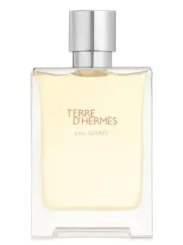 hermes-terre-d-hermes-eau-givree-edp-100ml-produkt