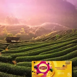 zestaw-herbat-owocowych-lipton-mix-rozne-smaki-10x20-torebek