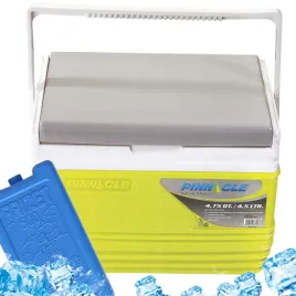 lodowka-piknik-plaza-pinnacle-tpx-6006-45l-zielona-wkl-500ml-zestaw