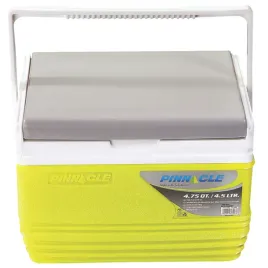 lodoweczka-do-auta-mini-na-piknik-plaze-pinnacle-tpx-6006-45l-zielona