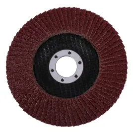 tarcza-scierna-sciernica-listkowa-lamelka-p40