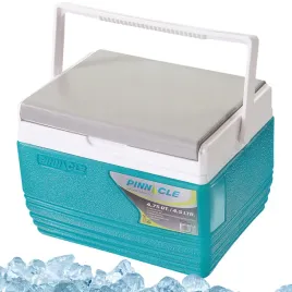 lodowka-turystyczna-pinnacle-4-5l-tpx-6006-maly-box-termiczny-na-zywnosc