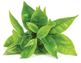 podstawka-ceramiczna-pod-chasen-do-matchy-czarna