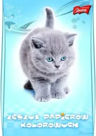 zeszyt-papierow-kolorowych-a5-10k-unipap