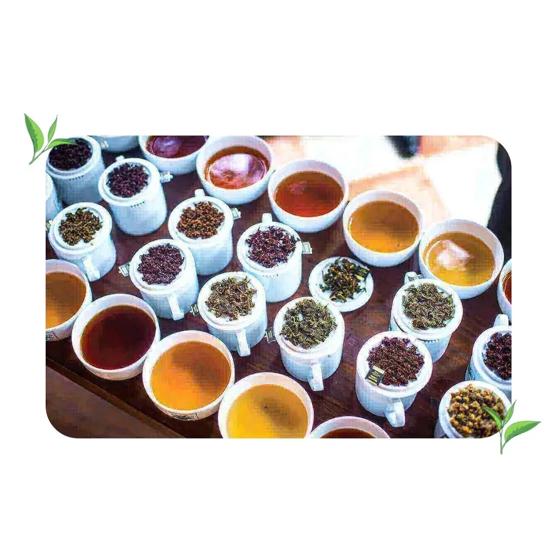 herbata-dilmah-pomaranczandimbir-20t