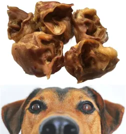 wieprzowe-ucho-srodkowe-dla-psa-naturalny-gryzak-suszony-przysmak-10-szt