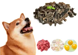 zwacze-wolowe-dla-psa-naturalny-gryzak-suszony-przysmak-smakolyk-120g