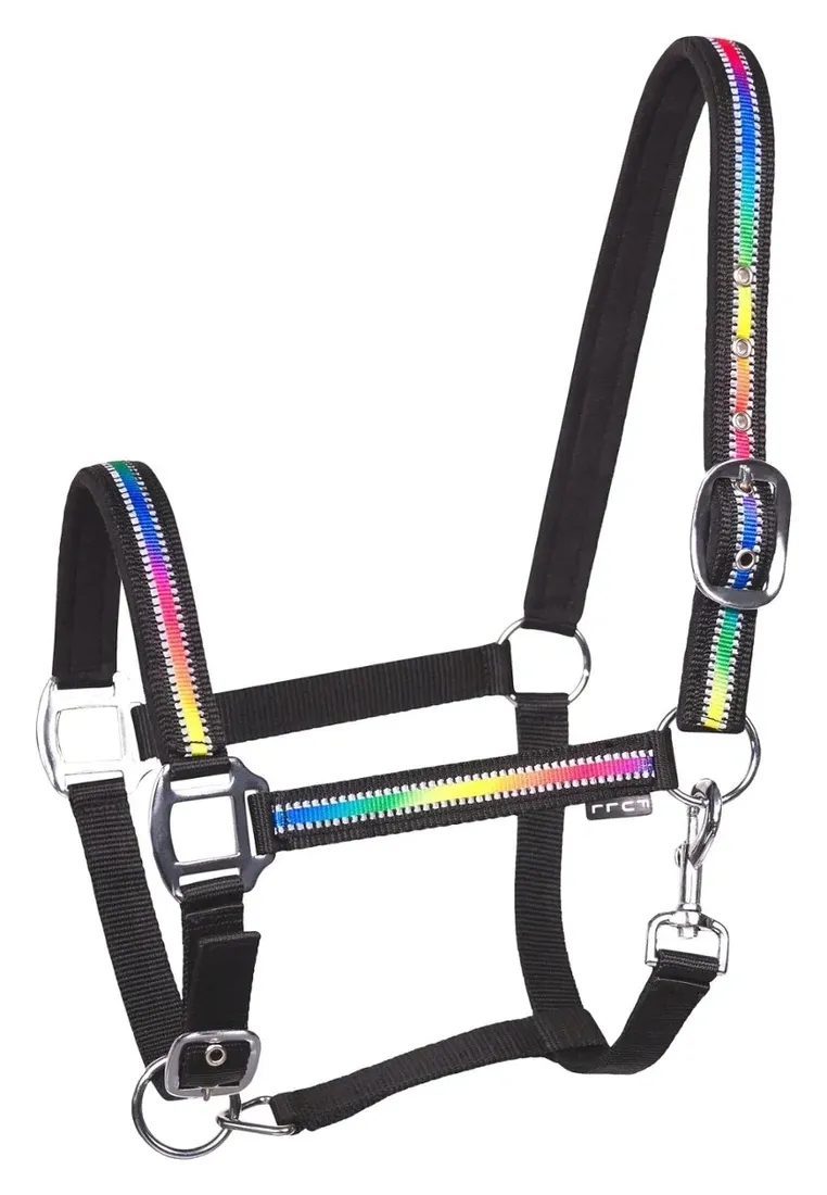 kantar-fp-neon-wielokolorowy-cob