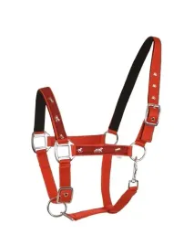 kantar-api-active-horses-czerwony-full