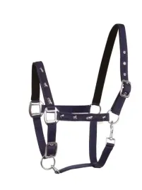 kantar-api-active-horses-granat-pony