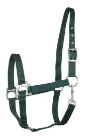 kantar-api-eco-ciemny-zielony-x-full