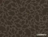 delphin-area-boilie-carpath-marka-delphin