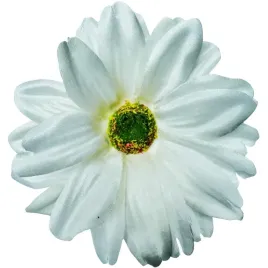 gerbera-12-glowek-aster-premium-ozdoba-do-kompozycji-kwiaty-sztuczne