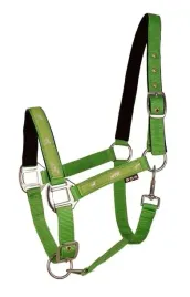 kantar-api-active-horses-zielony-pony