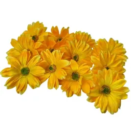 glowka-gerbera-aster-12-sztuk-do-bukietow-stroikow-premium-sztuczne-kwiaty