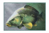 -wycieraczka-3d-karp-60x40cm