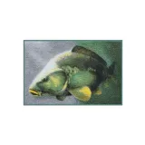 -wycieraczka-3d-karp-60x40cm-marka-delphin