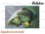 -wycieraczka-3d-karp-60x40cm-model-3d-carp