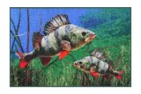 -wycieraczka-3d-karp-60x40cm-waga-0-15-kg