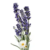 avon-relaksujaca-mgielka-do-poscieli-marka-avon