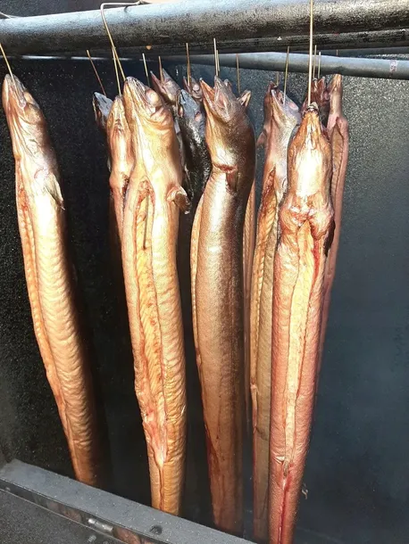 WĘGORZ WĘDZONY NATURALNIE DREWNEM OLCHOWYM 700 G