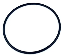 uszczelka-oring-pod-pokrywer-nakretke-zbiornika-pompy-pompki-bestway-58381