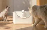 inteligentny-pochlaniacz-zapachow-cheerble-marka-cheerble