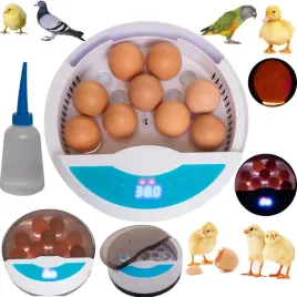 inkubator-klujnik-wylegarka-do-jaj-wylegu-drobiu-9
